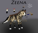 zeena