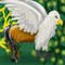 hippogriff by Stargirl