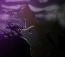 lightning-sky