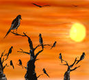 birds-gather