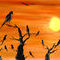birds-gather by vader666