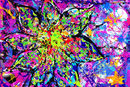 colors
