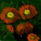 flowers by sketchpad