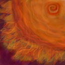 flowering-sun