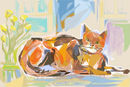 the-cat
