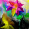 blume by jessejames