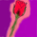 rosepng