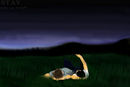 stay-with-me-tonight