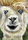 david-bowie-as-a-llama david-bowie-as-a-llama