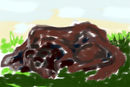 untitled-1 untitled-1