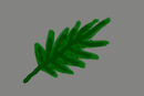 the-leaf the-leaf