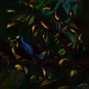 little-bird-in-the-woo