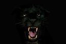 rawwrrr
