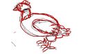 chicken