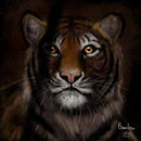 tiger-in-cage