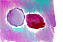 untitled-1 untitled-1