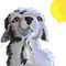 wolfeh-finnished by Firestar