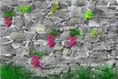 walled-in