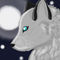 wolf-in-the-moonlight by blackheart
