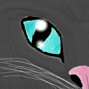 cat-eye