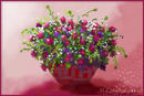 baby-red-roses