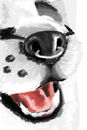 muzzle muzzle