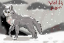 snow snow