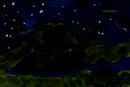 the-night-and-life