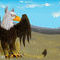 common-griffin by BluTaiger