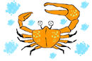 crab