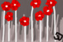 flowers flowers