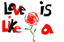 love-is-like-a-rose