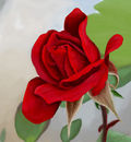 the-red-rose the-red-rose