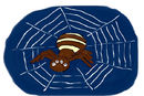 spider