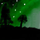 green-night
