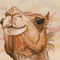 sketch-of-camel by betty