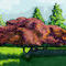 the-tree by kutedymples