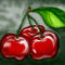 red-cherries by katy