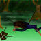 forest by Spiec4568