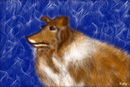 my-dog