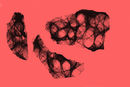 parts-of--a-broken-hea