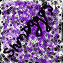 web