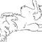 wolf by Justinbieber1102