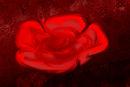 flower flower