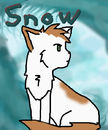snow snow