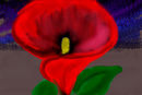 flower flower