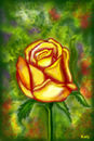 yellow-rose