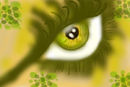 yellow-eye