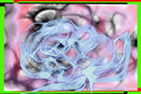 untitled-1