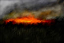 brush-fire